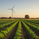 Campo agrícola sostenible