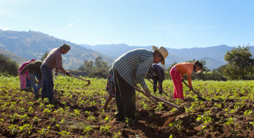 Programas de desarrollo agrícola con enfoque en resiliencia climática