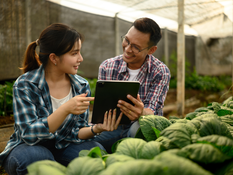 Productores agrícolas usando una tablet en el campo para monitorear cultivos y mejorar la seguridad alimentaria mediante tecnología.