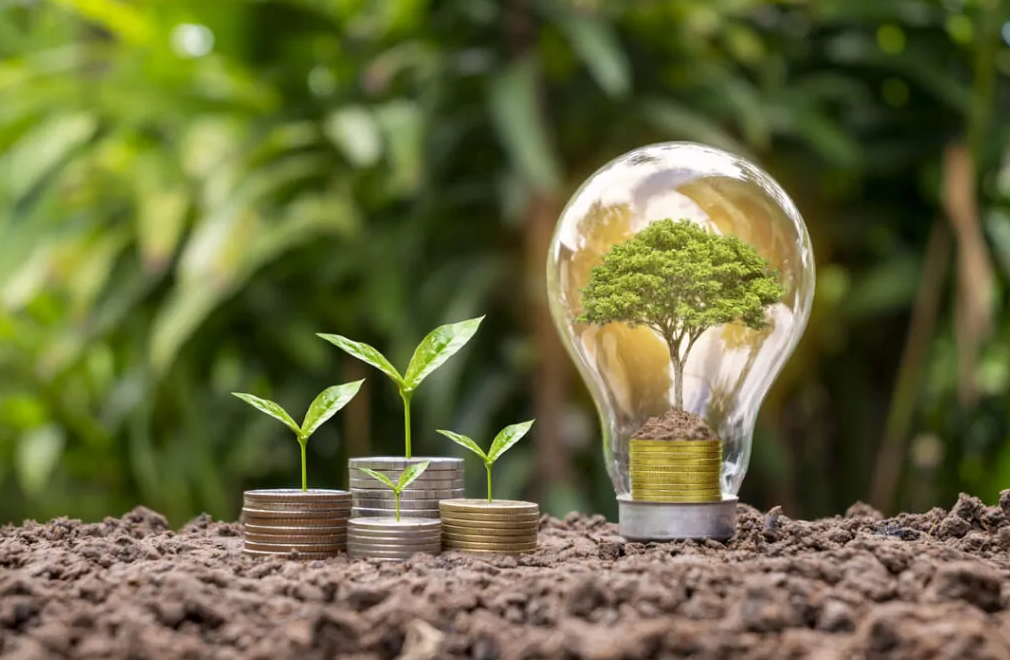 Economía verde y proyectos de sostenibilidad en Guatemala