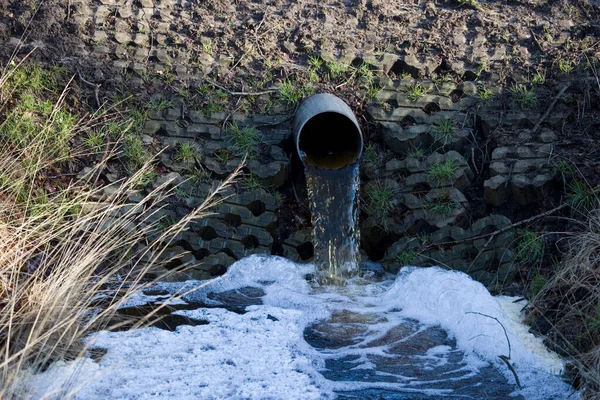 Gestión del agua y seguridad hídrica